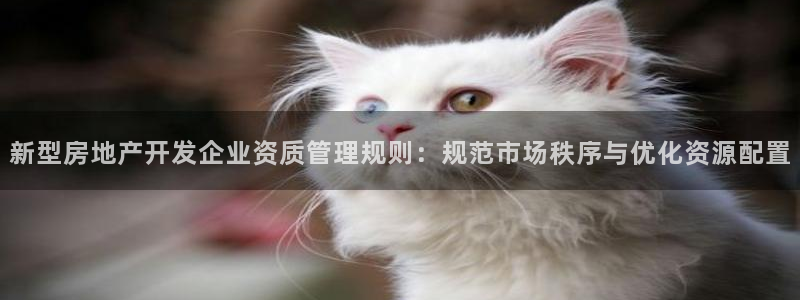 新宝5褚32OO59：新型房地产开发企业资质管理规则：规范市