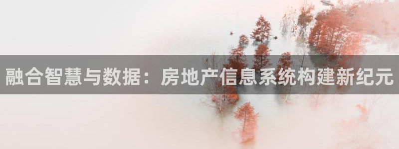 新宝5挂机软件：融合智慧与数据：房地产信息系统构建新纪元