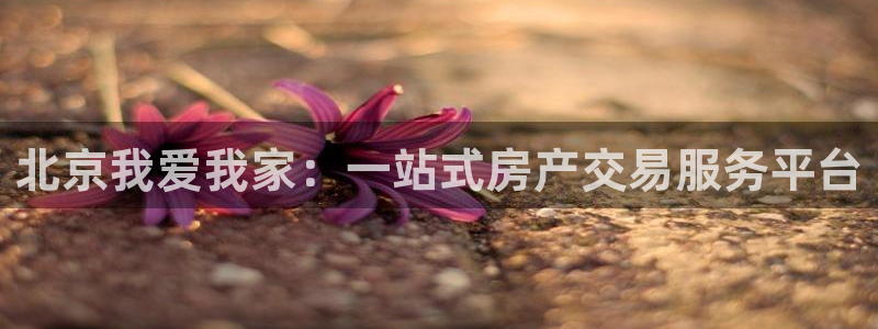 新宝5测速登录：北京我爱我家：一站式房产交易服务平台