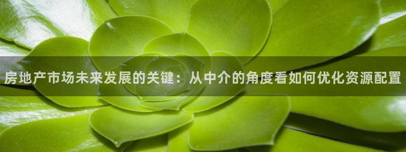 新宝5平台注册资金：房地产市场未来发展的关键：从中介的角度看