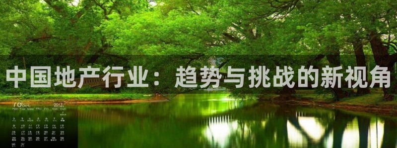 新宝5注册流程：中国地产行业：趋势与挑战的新视角