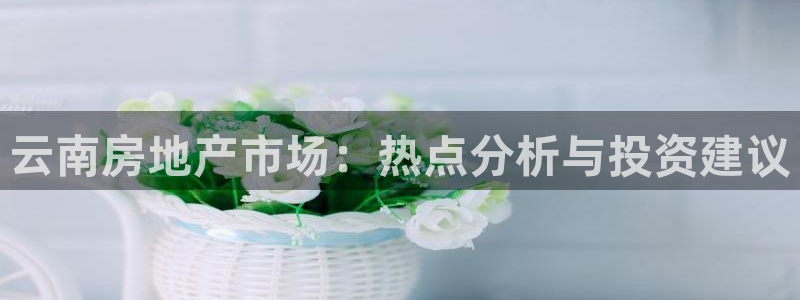 新宝5寻33 300球：云南房地产市场：热点分析与投资建议
