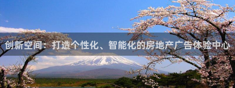 新宝5登陆
