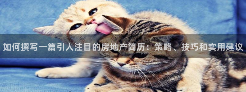 新宝5吕74OOO5：如何撰写一篇引人注目的房地产简历：策略