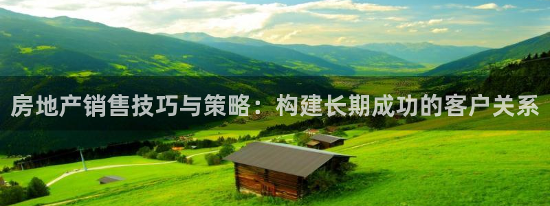 新宝5平台霸：房地产销售技巧与策略：构建长期成功的客户关系