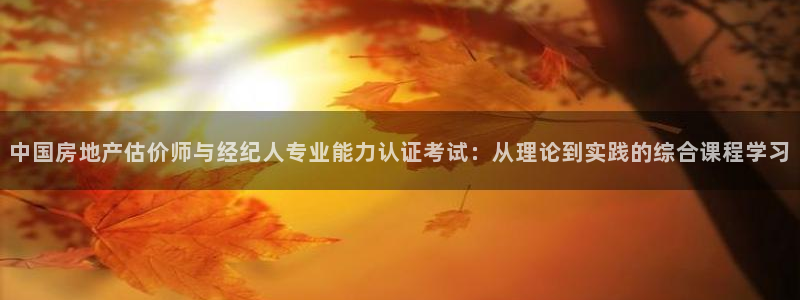 新宝5注册首页：中国房地产估价师与经纪人专业能力认证考试：从