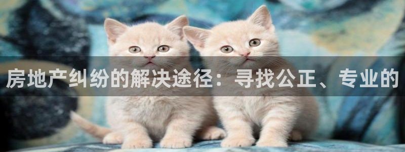 新宝股东王听2 5 5：房地产纠纷的解决途径：寻找公正、专业