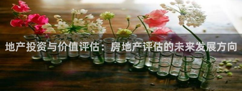 新宝rc_5w：地产投资与价值评估：房地产评估的未来发展方向