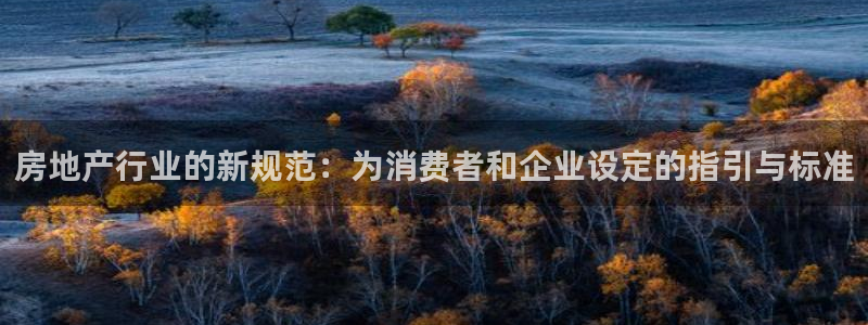 新宝5娱乐注册：房地产行业的新规范：为消费者和企业设定的指引