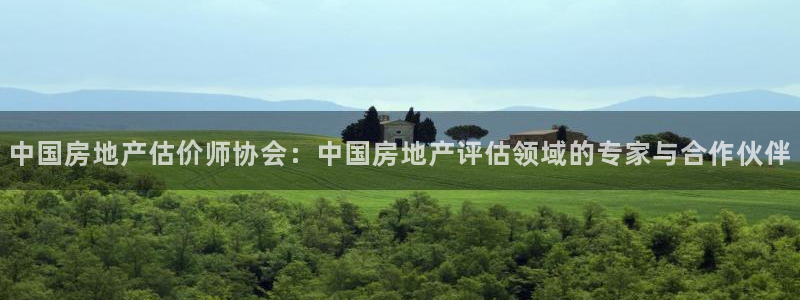 新宝5登录地址：中国房地产估价师协会：中国房地产评估领域的专