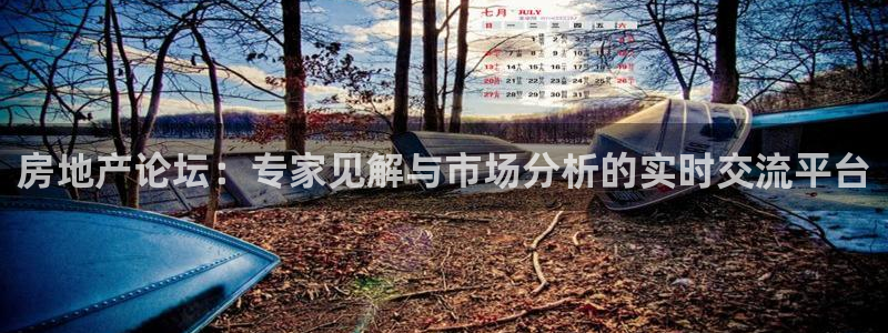 新宝5上70 667：房地产论坛：专家见解与市场分析的实时交