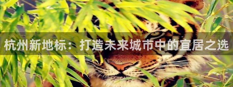 新宝5秒开：杭州新地标：打造未来城市中的宜居之选