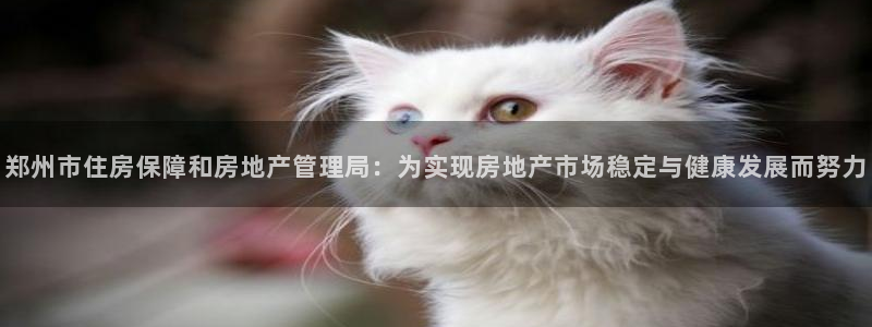 新宝5平台咋样：郑州市住房保障和房地产管理局：为实现房地产市