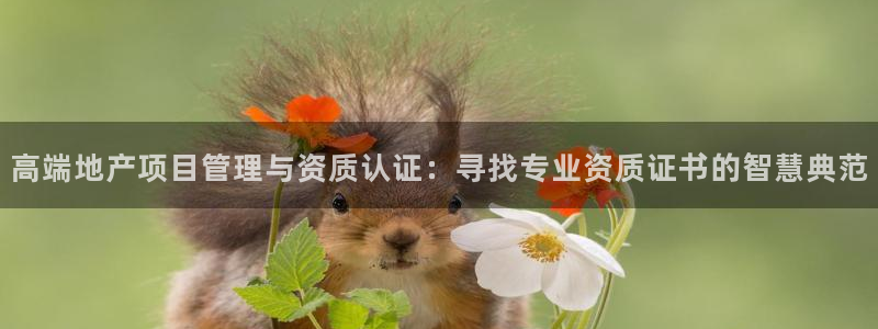 新宝5登录霸：高端地产项目管理与资质认证：寻找专业资质证书的