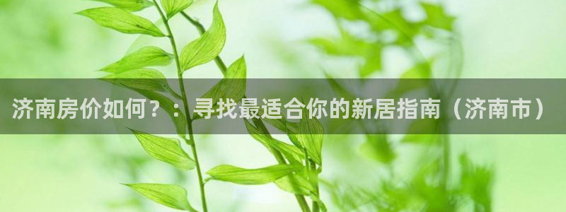 新宝xb5：济南房价如何？：寻找最适合你的新居指南（济南市）
