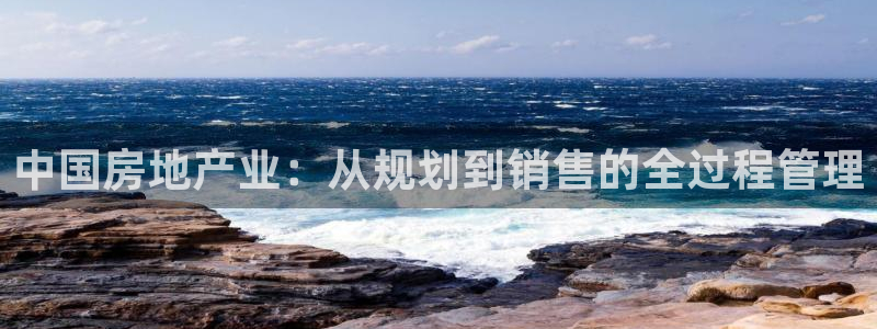 新宝5寻33 300球：中国房地产业：从规划到销售的全过程管