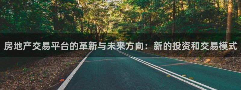 i新宝5：房地产交易平台的革新与未来方向：新的投资和交易模式