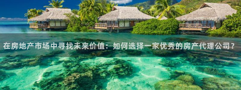 新宝5手机版：在房地产市场中寻找未来价值：如何选择一家优秀的