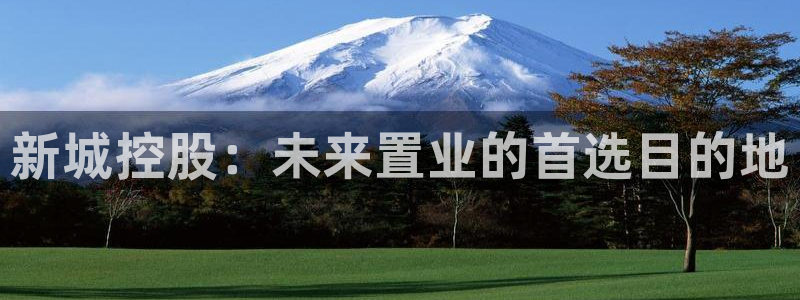 新宝5日740005蔻：新城控股：未来置业的首选目的地