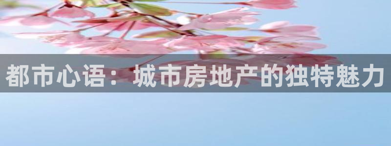 新宝5总代：都市心语：城市房地产的独特魅力