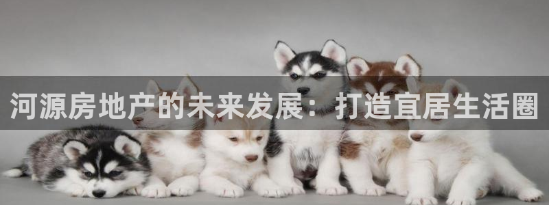 新宝5d：河源房地产的未来发展：打造宜居生活圈