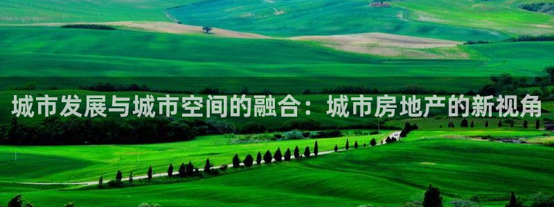 新宝娱乐5：城市发展与城市空间的融合：城市房地产的新视角