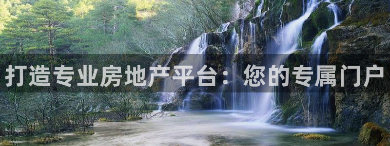 新宝5测：打造专业房地产平台：您的专属门户