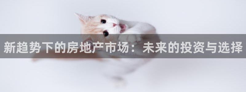 新宝5平台