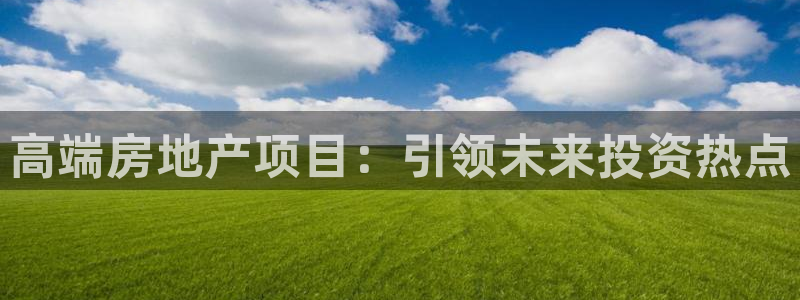 新宝j2O5O5O：高端房地产项目：引领未来投资热点