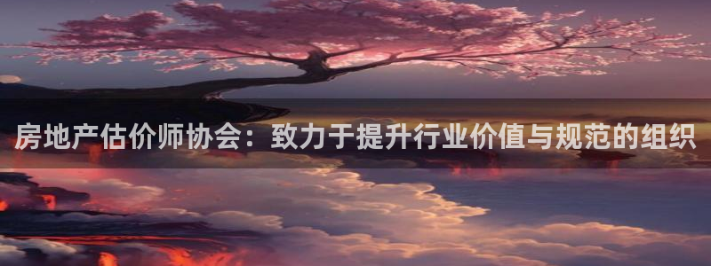 新宝5平台霸：房地产估价师协会：致力于提升行业价值与规范的组