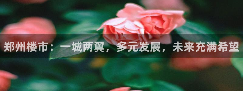 新宝注5册：郑州楼市：一城两翼，多元发展，未来充满希望