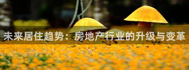 新宝5总代：未来居住趋势：房地产行业的升级与变革