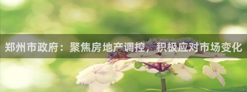 新宝5平台登录下载软件：郑州市政府：聚焦房地产调控，积极应对