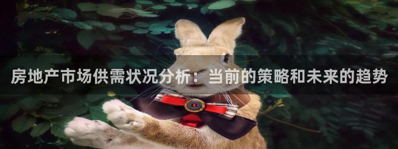 新宝5湫333 00：房地产市场供需状况分析：当前的策略和未