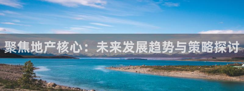 新宝5现在还能玩吗：聚焦地产核心：未来发展趋势与策略探讨