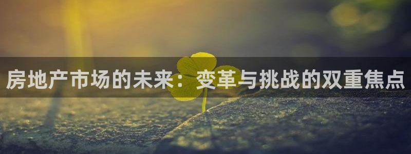 新宝5培训：房地产市场的未来：变革与挑战的双重焦点