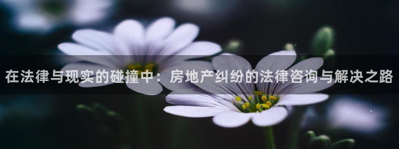 新宝5彩票娱乐平台：在法律与现实的碰撞中：房地产纠纷的法律咨