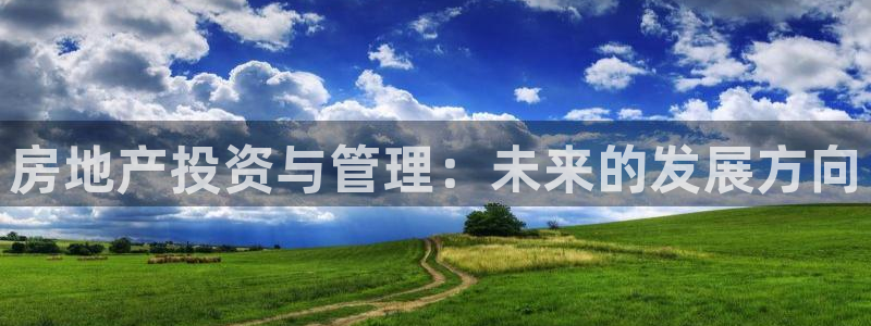 新宝_5：房地产投资与管理：未来的发展方向