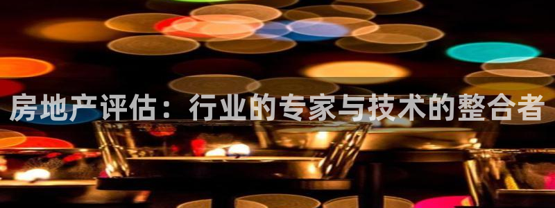 新宝m2O5O5O：房地产评估：行业的专家与技术的整合者