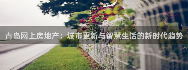 新宝那2O5O5O：青岛网上房地产：城市更新与智慧生活的新时
