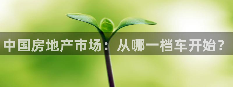 新宝rc_5w：中国房地产市场：从哪一档车开始？