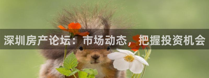 新宝5注册测速登录：深圳房产论坛：市场动态，把握投资机会