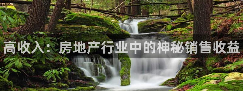 新宝5秒开：高收入：房地产行业中的神秘销售收益
