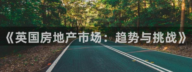 新宝5官方：《英国房地产市场：趋势与挑战》