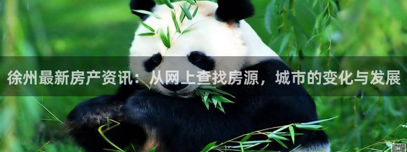 新宝5平台咋样：徐州最新房产资讯：从网上查找房源，城市的变化