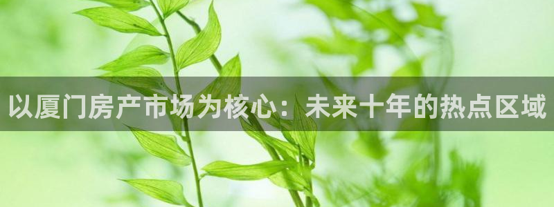新宝5什么时候上市：以厦门房产市场为核心：未来十年的热点区域