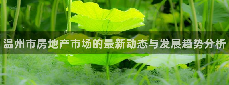新宝5下载注册：温州市房地产市场的最新动态与发展趋势分析