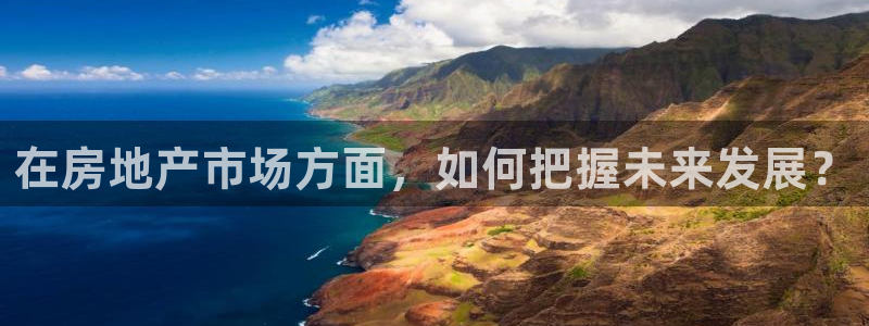 新宝5平台注册资金：在房地产市场方面，如何把握未来发展？
