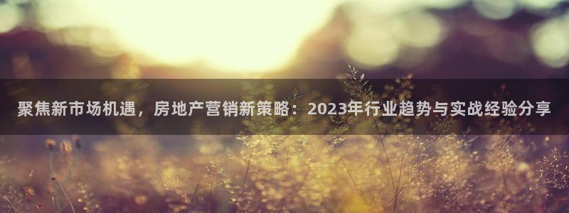 新宝5线路登录：聚焦新市场机遇，房地产营销新策略：2023年
