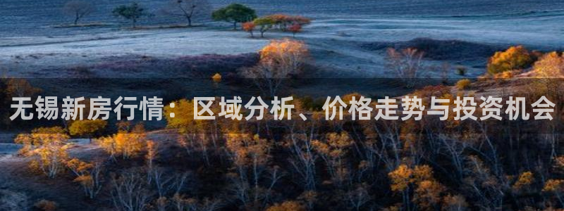 新宝股东王听2 5 5：无锡新房行情：区域分析、价格走势与投